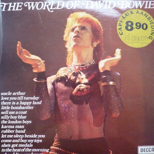 the world of david bowie