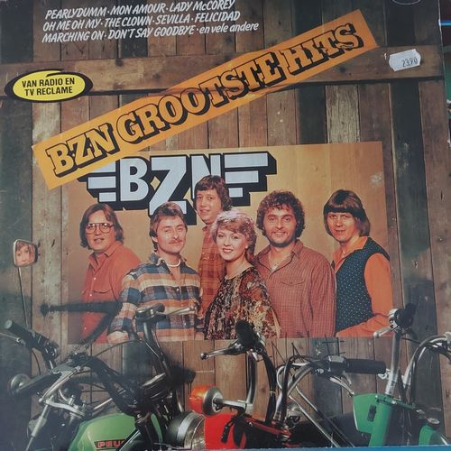 bzn grootste hits