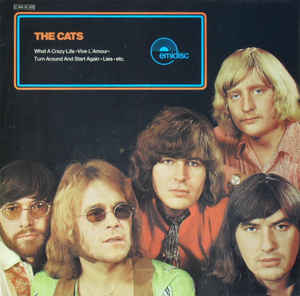 the cats