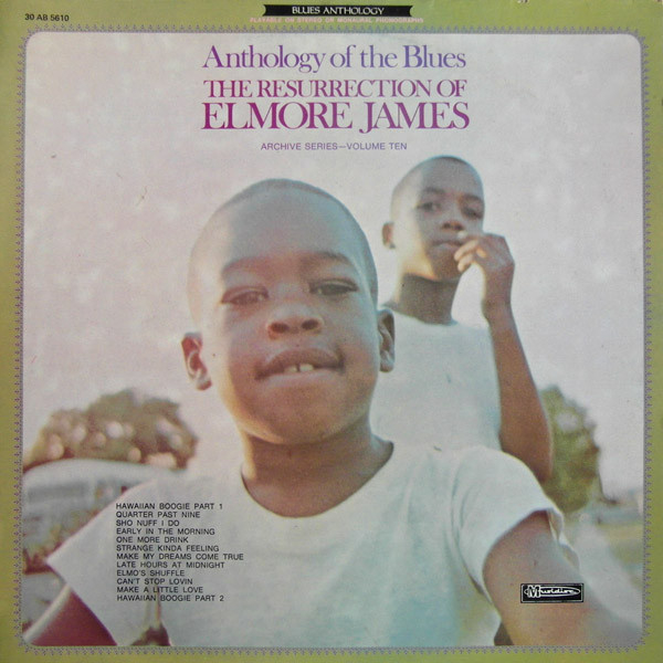 the resurrection of elmore james