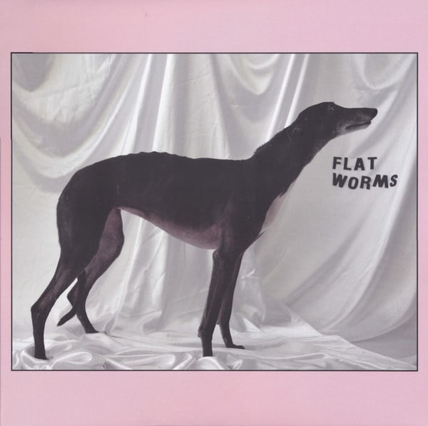flat worms