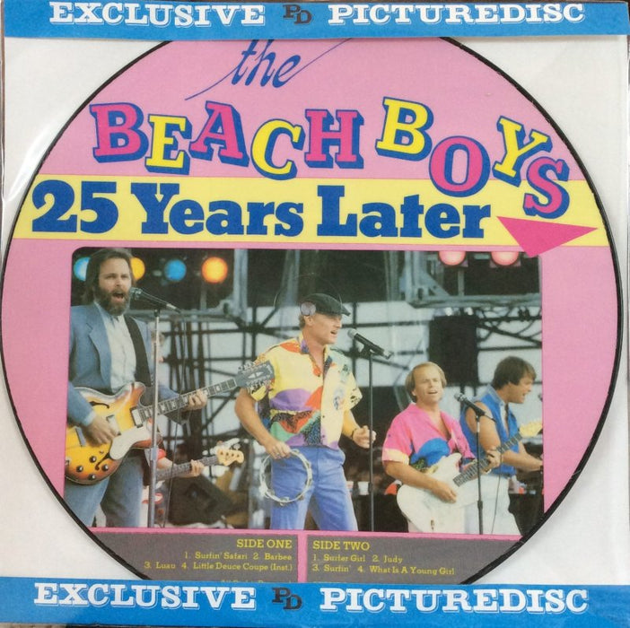 surfin safari 25 years later (picture disc)