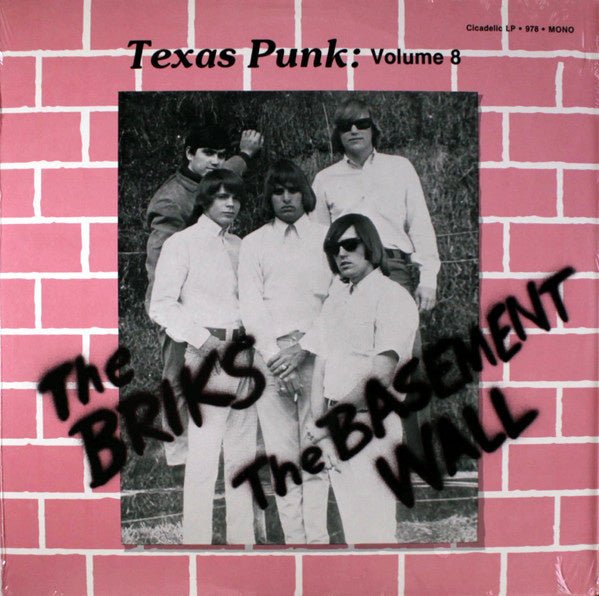 texas punk: volume 8